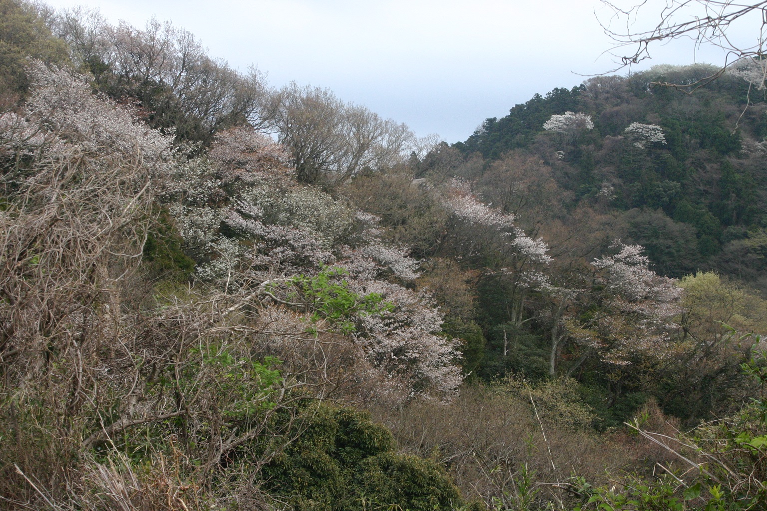 二子山