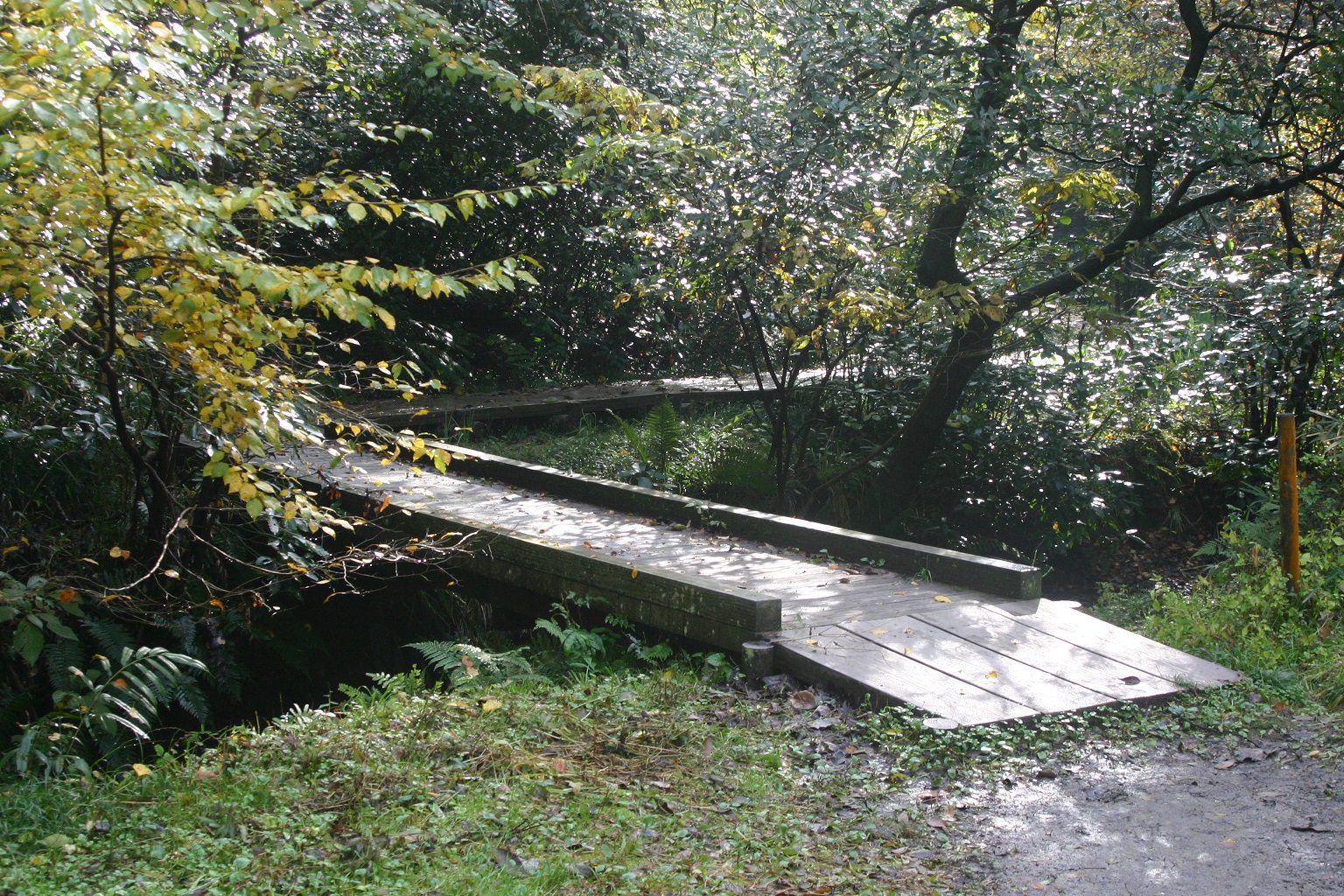 氷取沢市民の森