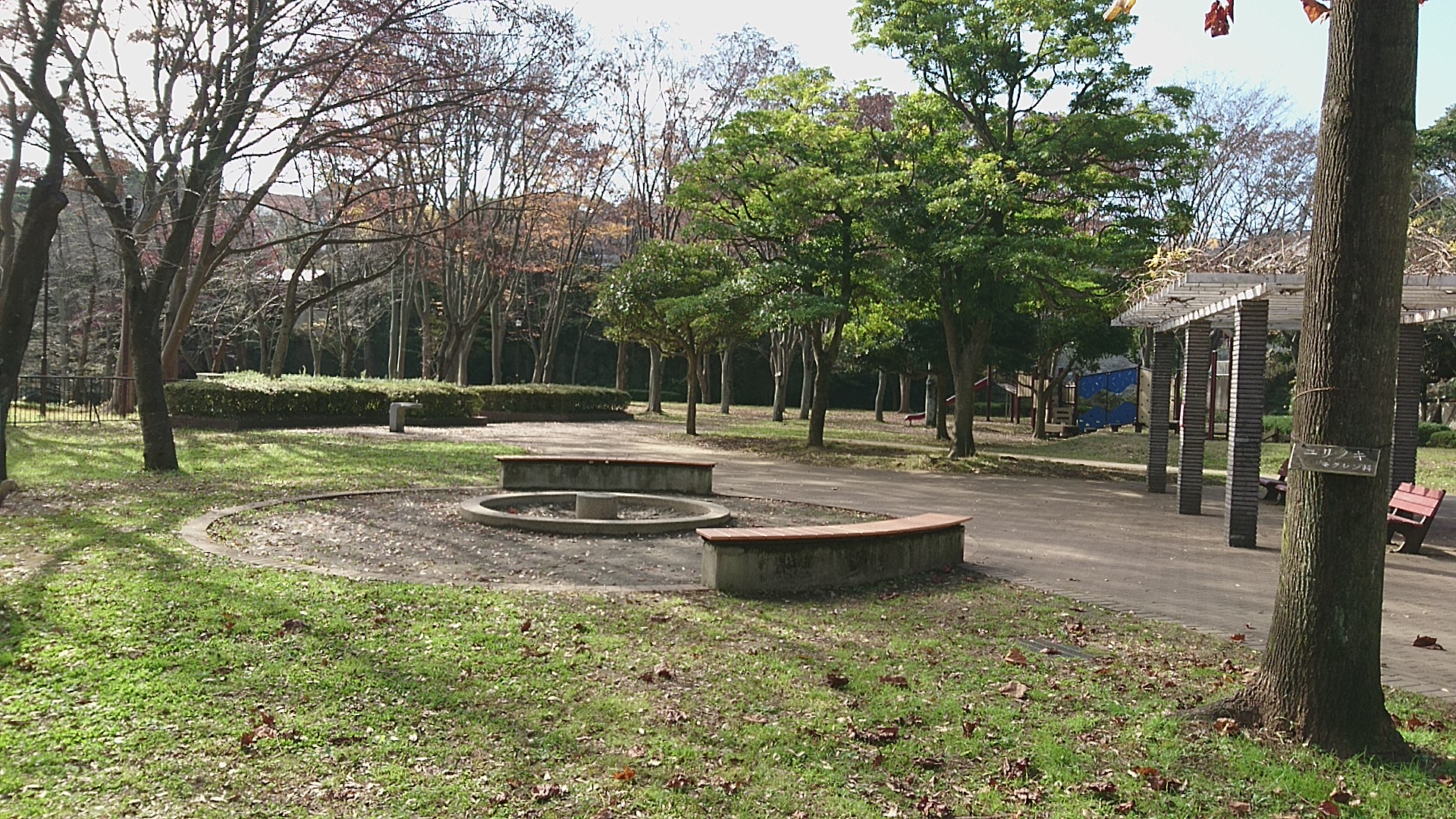 富岡総合公園 ケヤキ広場 砂場