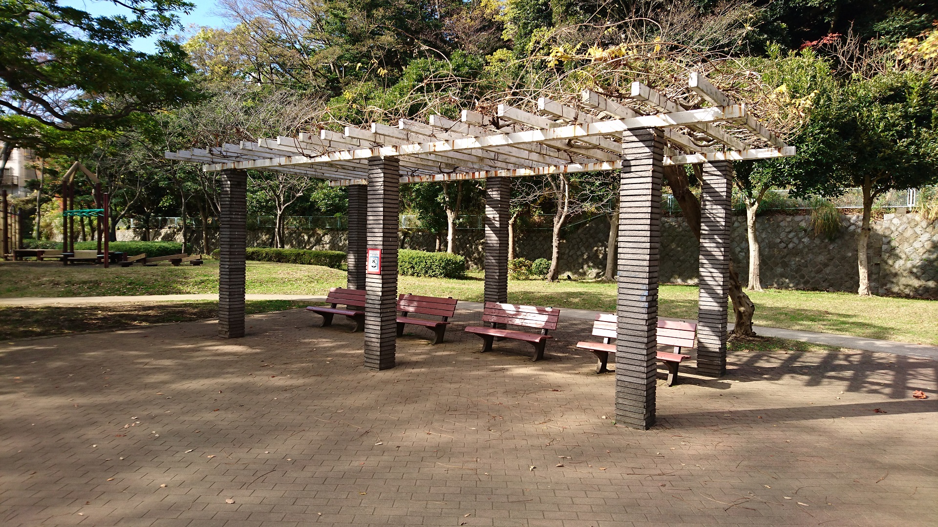 富岡総合公園 ケヤキ広場 ベンチ