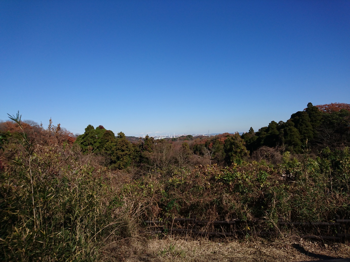 横浜自然観察の森　関谷奥見晴台