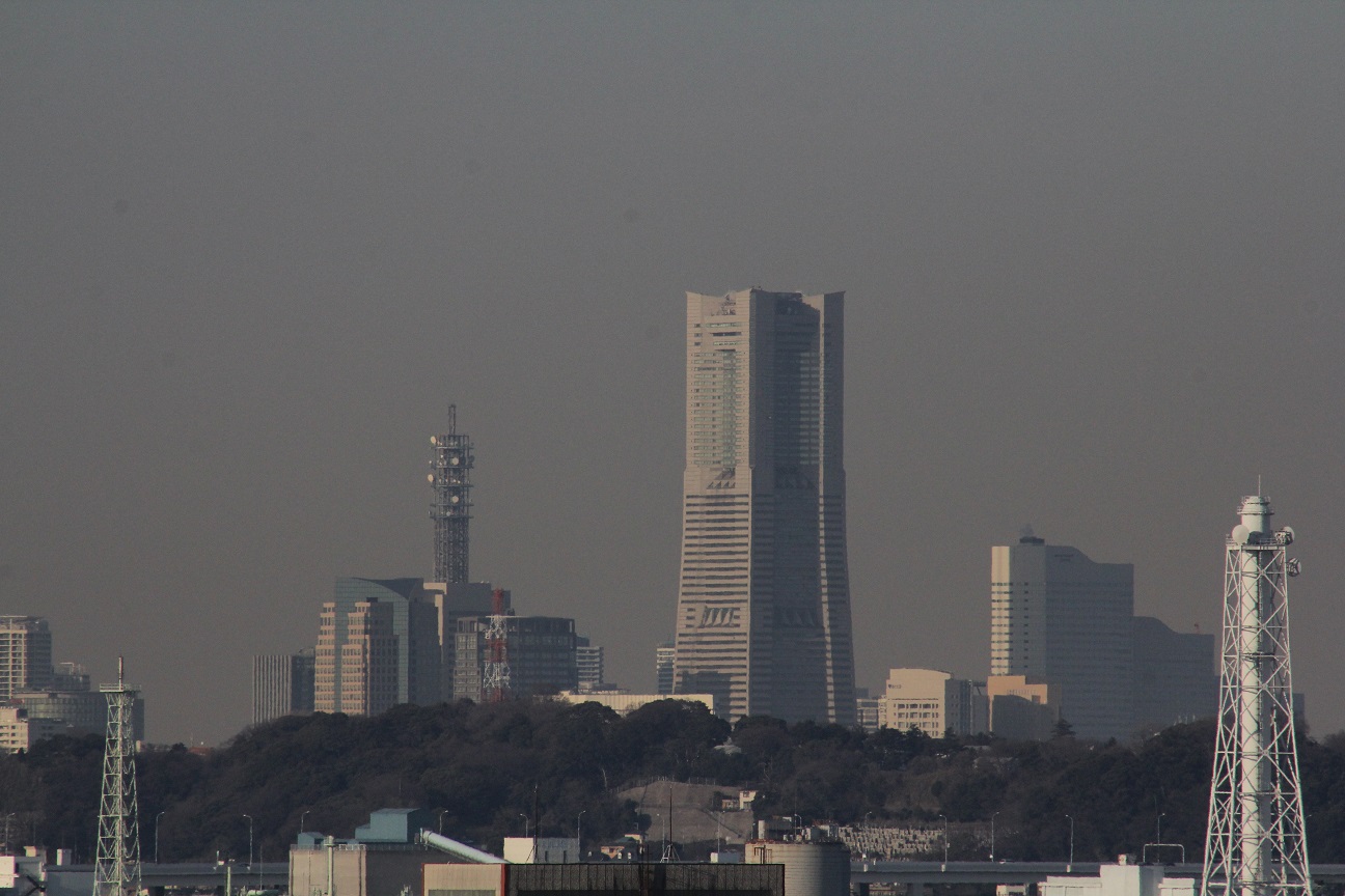 富岡総合公園 ケヤキ広場　高台からの眺め