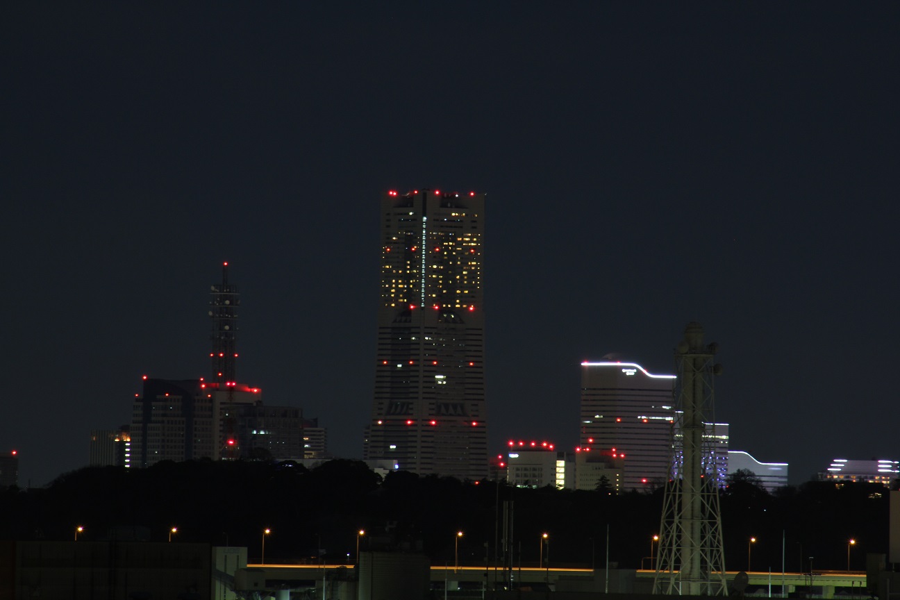 富岡総合公園 ケヤキ広場　高台からの眺め（夜景）
